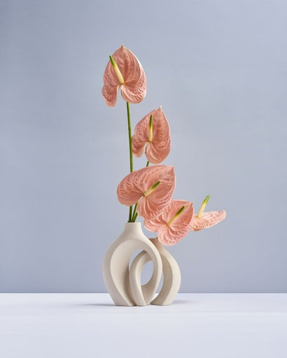 Anthurium