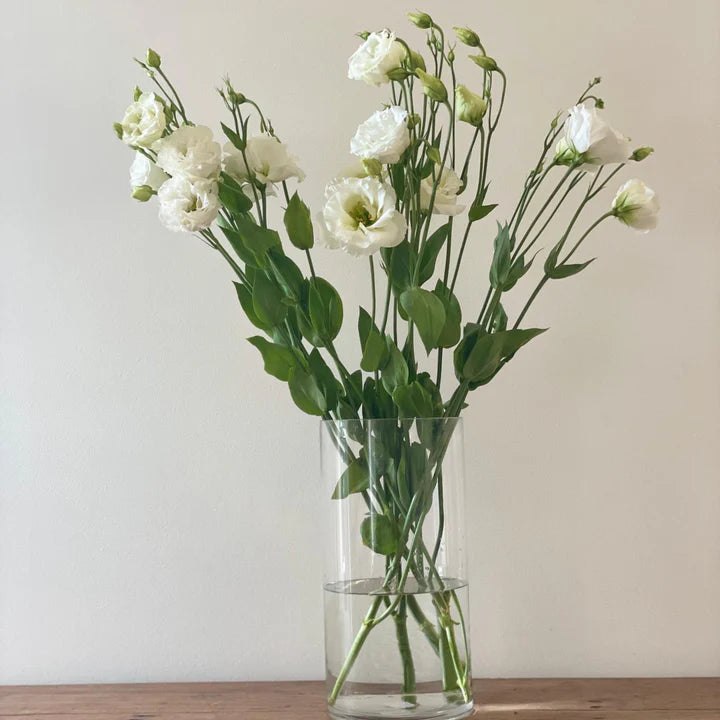 Lisianthus