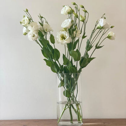 Lisianthus