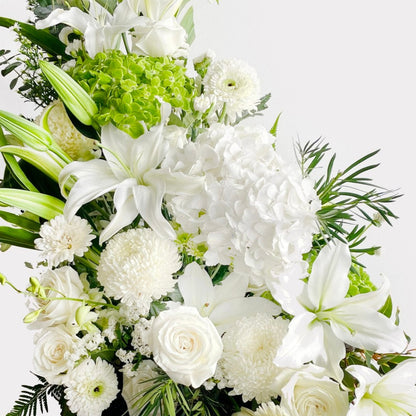 A graceful medley of pure white blooms and lush greenery, this bouquet features hydrangeas, lilies, roses, carnations, daisies, silver dollar eucalyptus, and green fillers. Soft, fresh, and effortlessly elegant—perfect for heartfelt gestures or serene spaces.